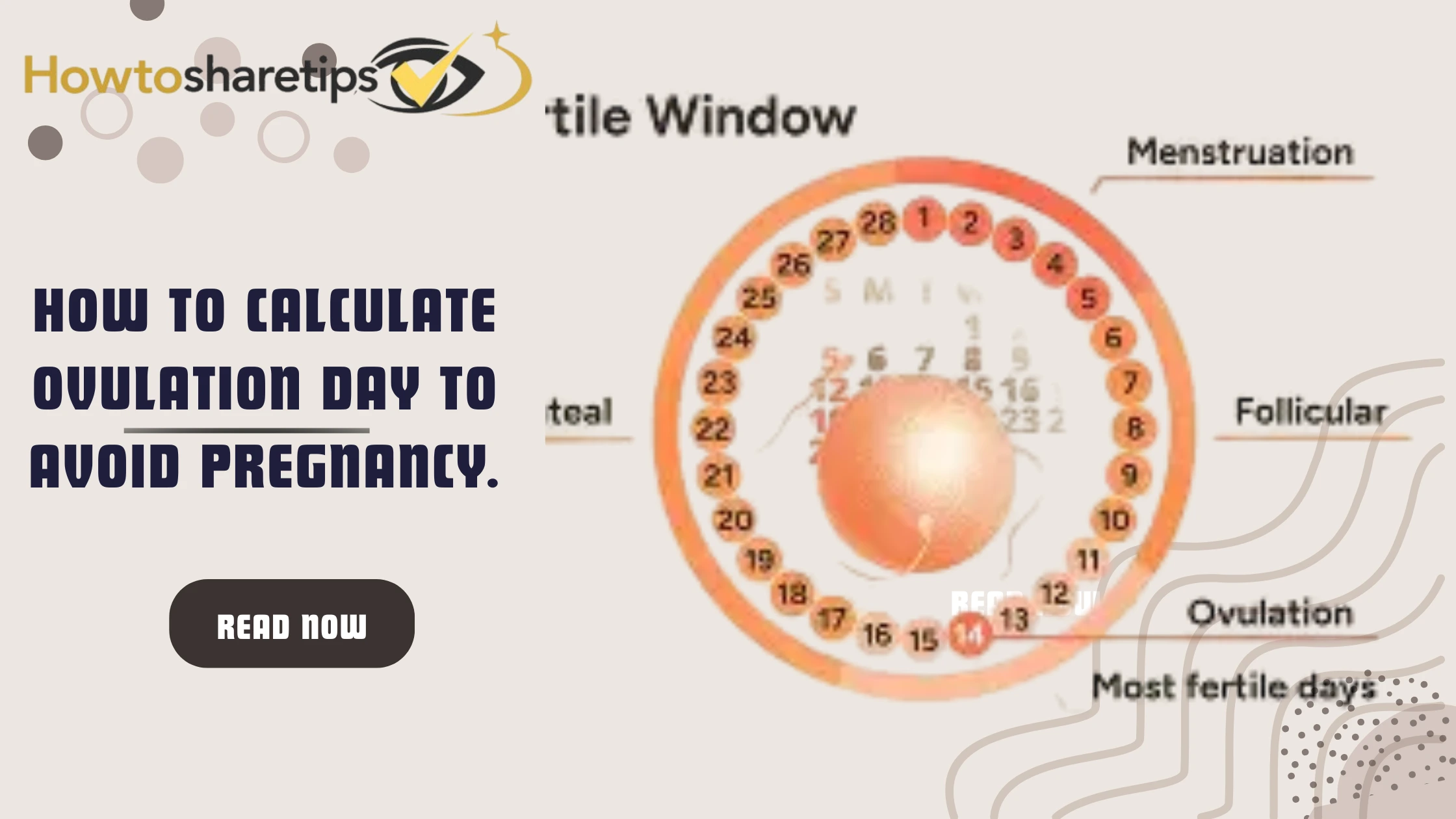 How To Calculate OVULATION DAY To Avoid Pregnancy.